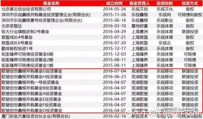 被樂視辜負(fù)的資本盛宴 大佬、明星與近百機(jī)構(gòu)的未解困局